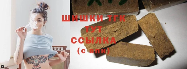 тгк Алзамай