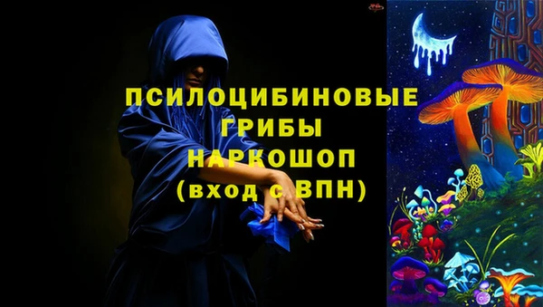 ECSTASY Алексин
