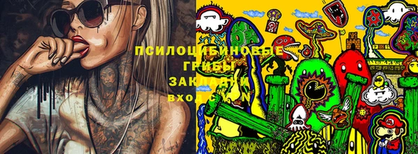 тгк Алзамай