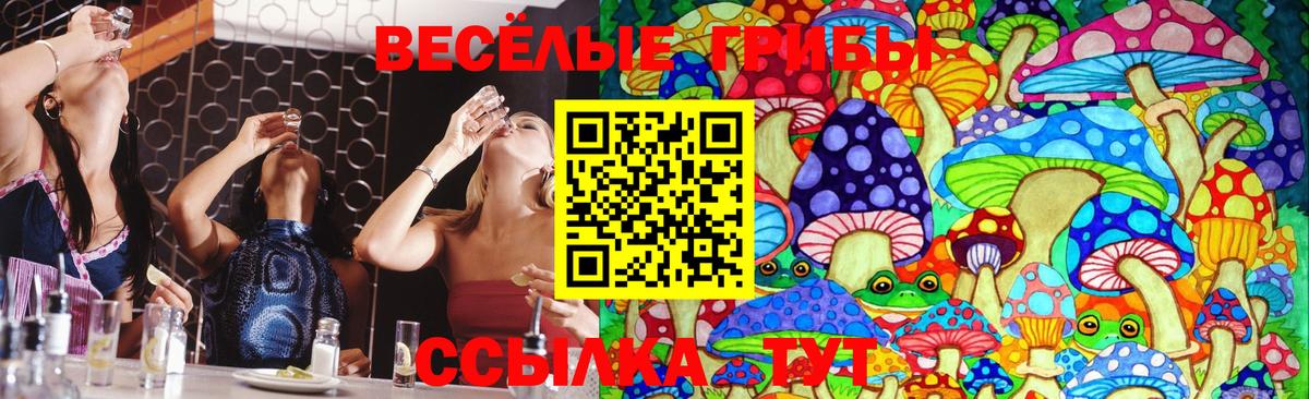 Сосновоборск  Псилоцибиновые грибы мицелий  Вход с VPN 